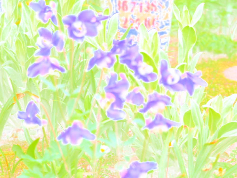 b0368629_8332357.jpg