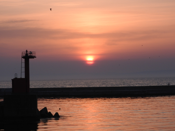 f0118332_0231142.jpg