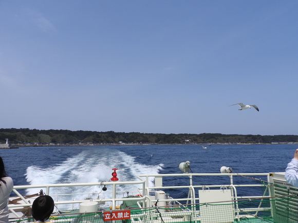 f0118332_025185.jpg