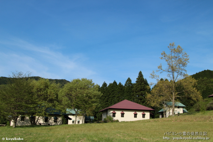 d0140234_21544143.jpg