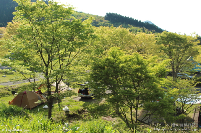 d0140234_22114398.jpg
