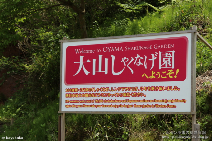 d0140234_22313599.jpg