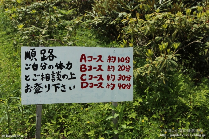 d0140234_22341188.jpg