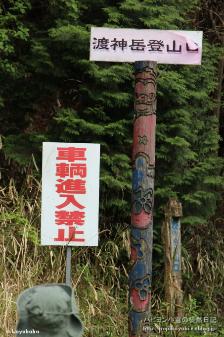 d0140234_22424274.jpg