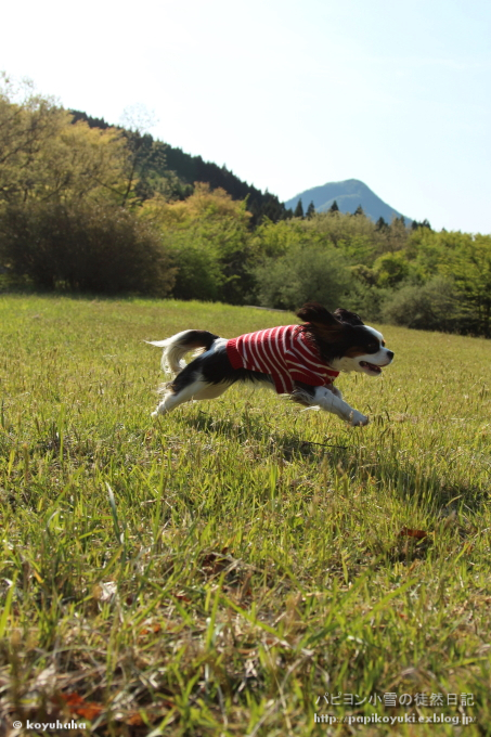d0140234_2271790.jpg