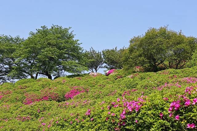 a0242438_2014423.jpg
