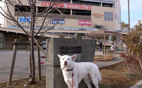 a0117039_2233515.jpg