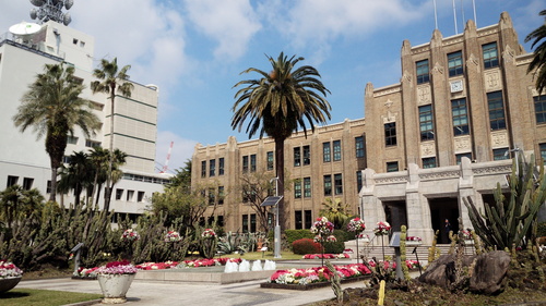 b0199742_54805.jpg