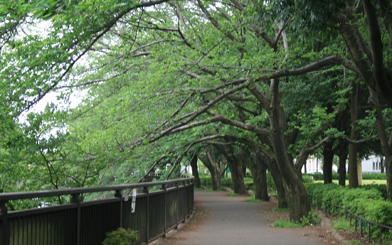 e0082045_16115026.jpg