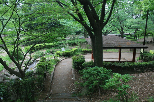 e0082045_16122080.jpg