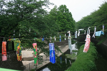 e0082045_16161786.jpg