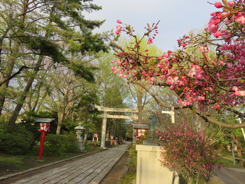 b0238249_20222231.jpg