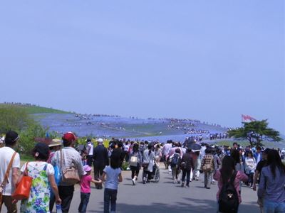 b0220251_943381.jpg