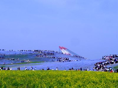 b0220251_9435453.jpg