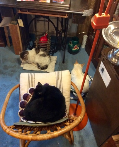 c0340351_16171374.jpeg