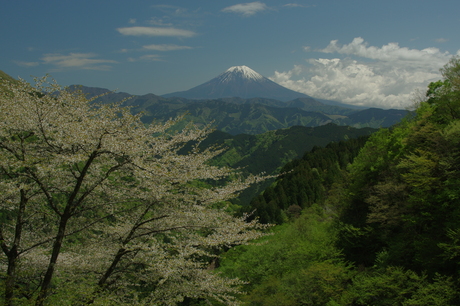 d0229560_14275023.jpg