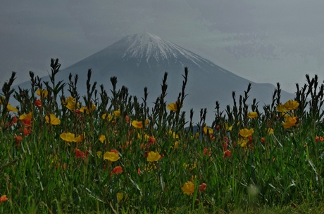 d0229560_14452339.jpg