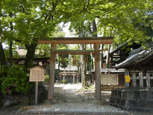 a0187861_16252537.jpg