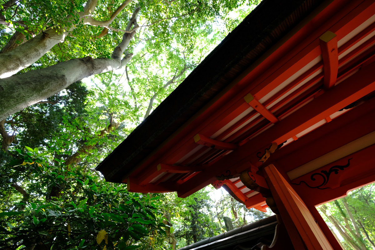 c0084666_00145019.jpg