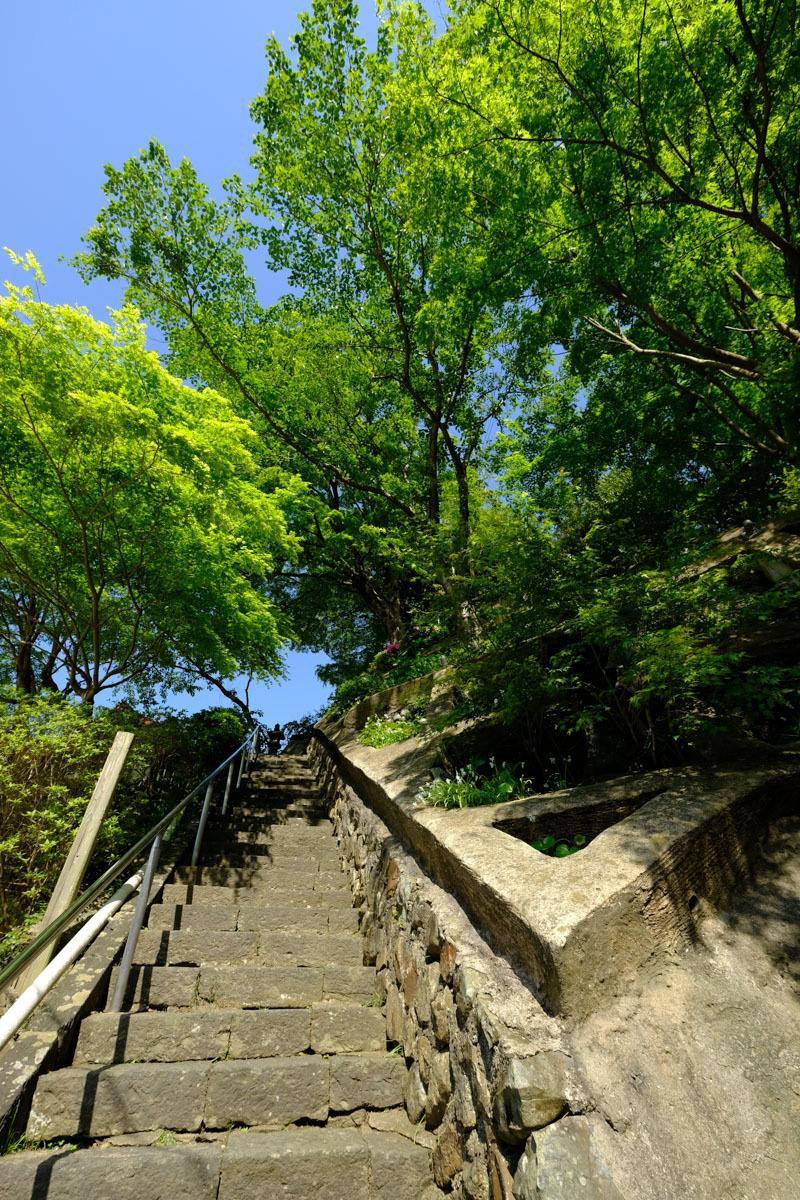 c0084666_16355580.jpg