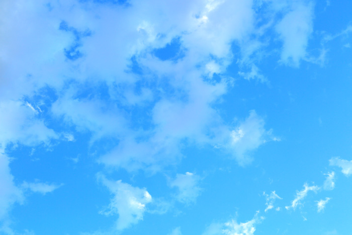 c0279371_23572277.jpg