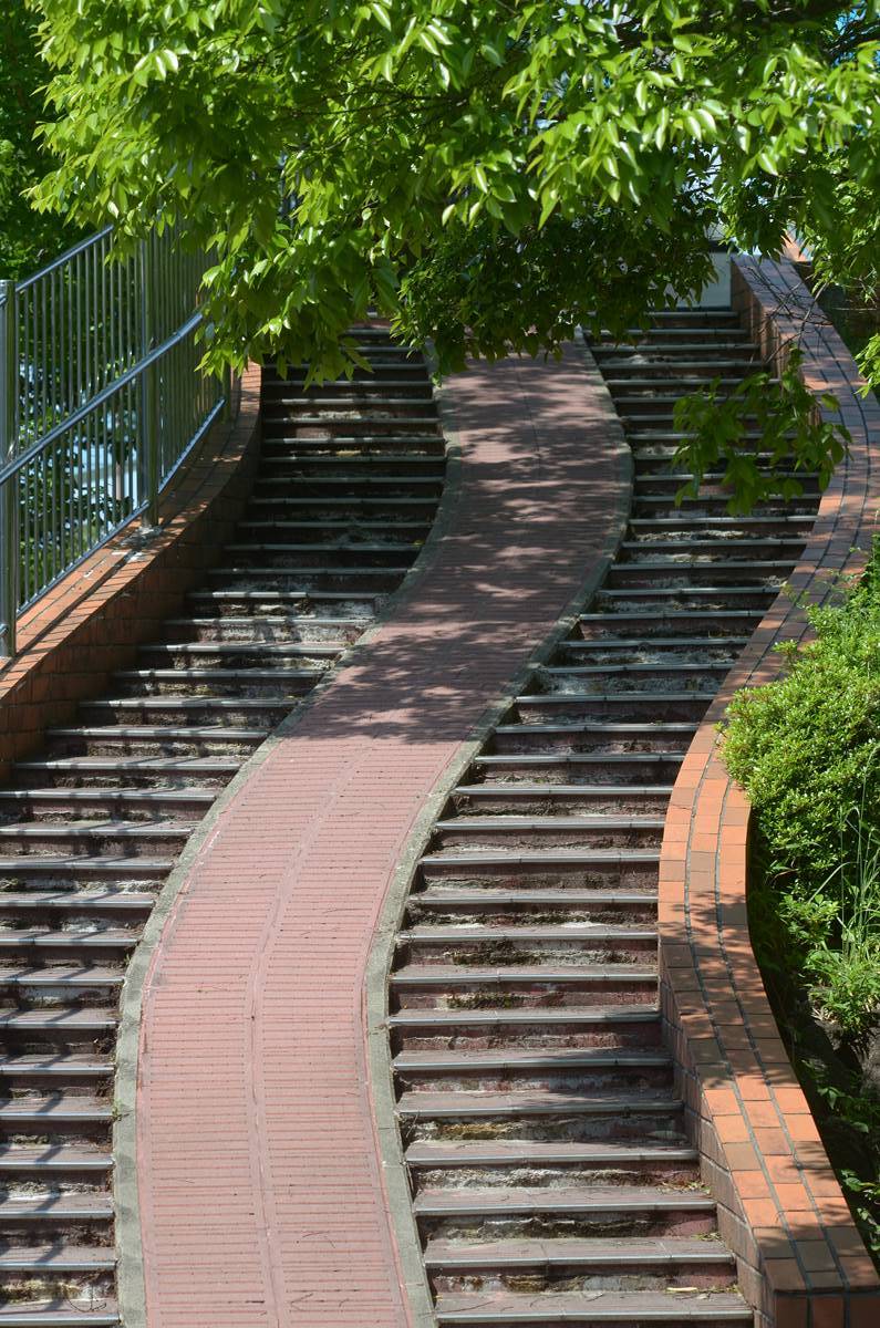 f0159784_20420022.jpg