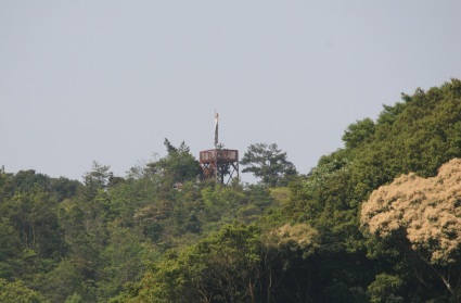 f0053885_03533211.jpg