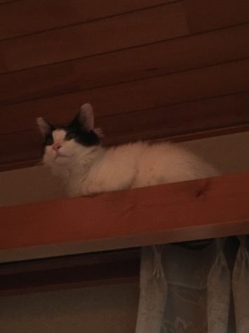 d0101787_21565818.jpeg