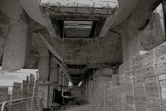 a0199297_2351545.jpg