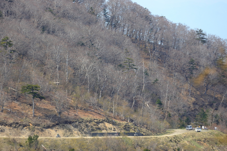 c0278800_8372077.jpg
