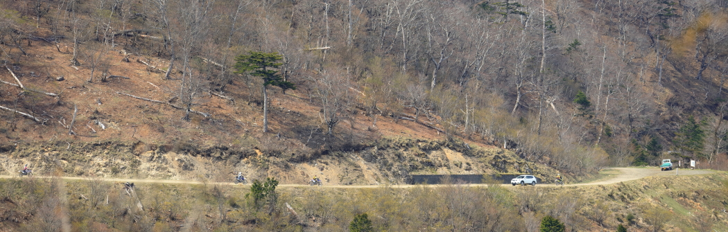 c0278800_8382514.jpg
