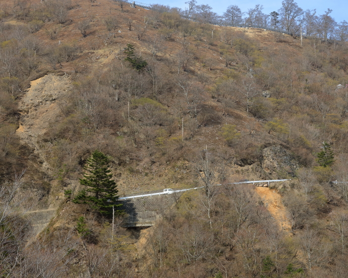 c0278800_8401463.jpg