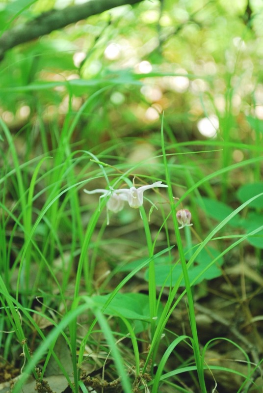 e0025300_2141517.jpg