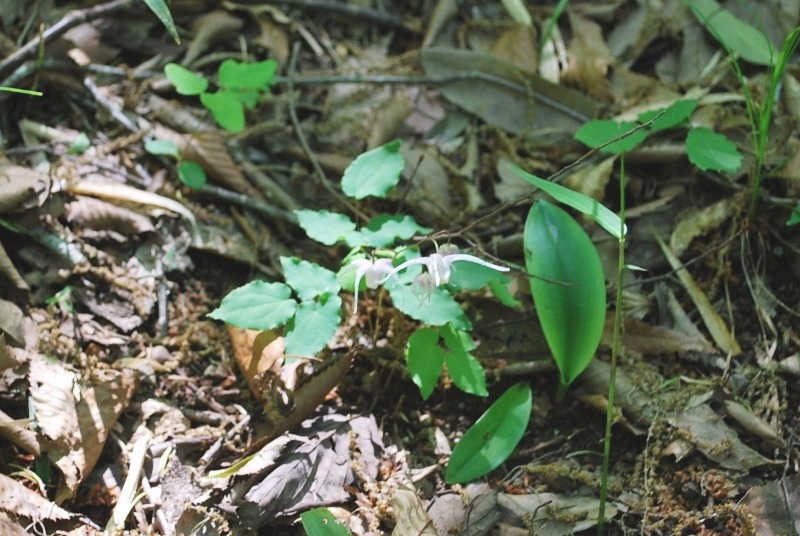 e0025300_21431048.jpg