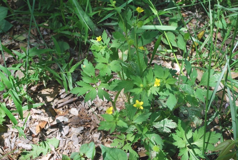 e0025300_21472061.jpg