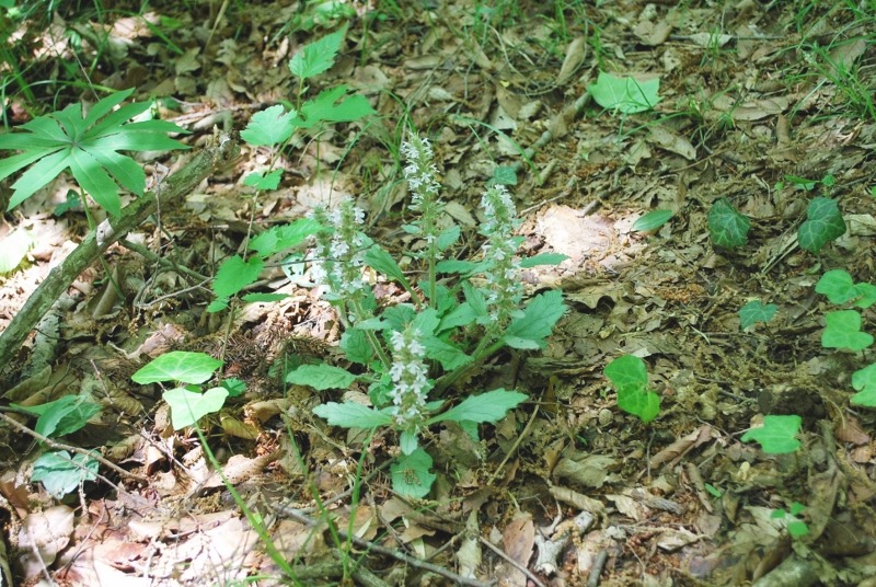 e0025300_2211868.jpg