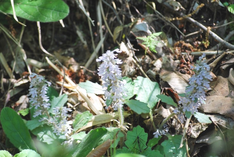 e0025300_222615.jpg