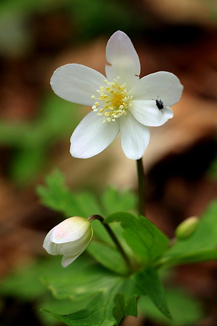 e0137200_2157881.jpg
