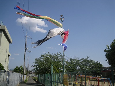 d0090001_2059139.jpg