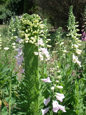 c0017802_13241837.jpg