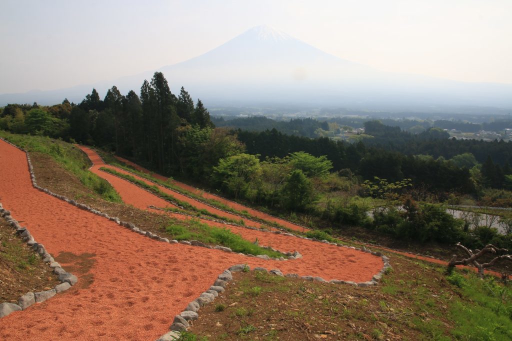 a0188405_23141920.jpg