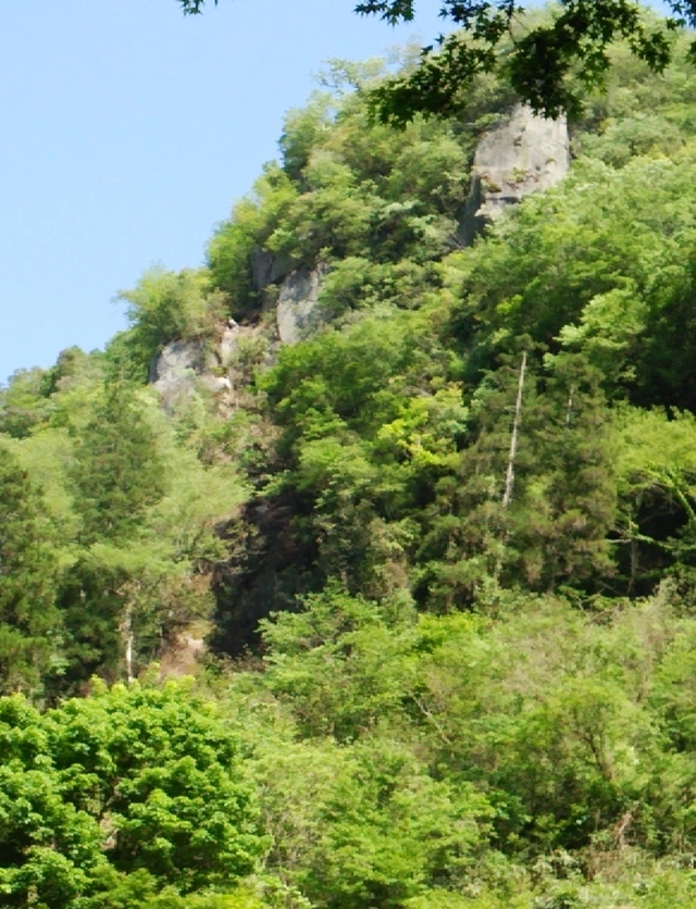 d0345614_1046735.jpg