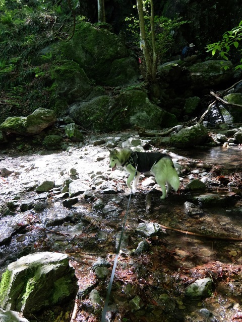 b0207615_21382783.jpg
