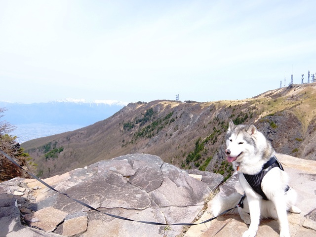 b0207615_22162980.jpg