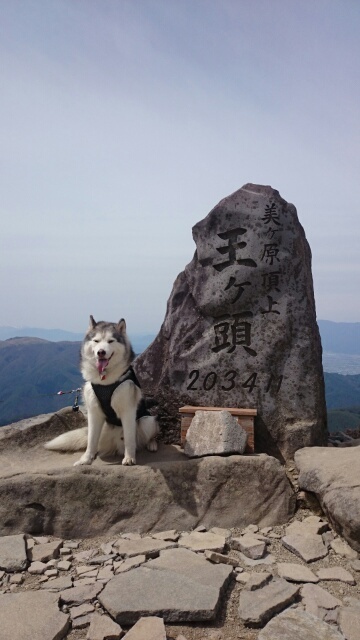 b0207615_22175232.jpg