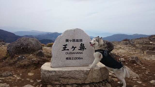b0207615_22175418.jpg