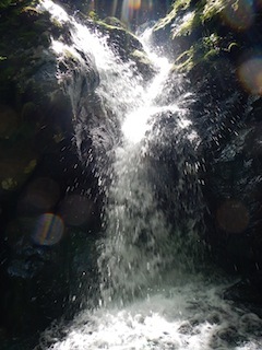c0359615_20270123.jpg