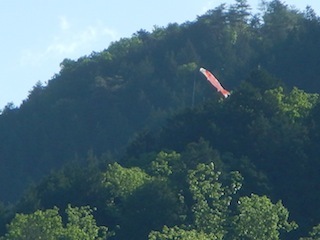 c0359615_20270931.jpg