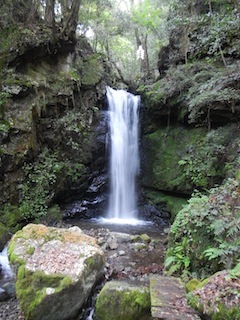 c0359615_20272612.jpg
