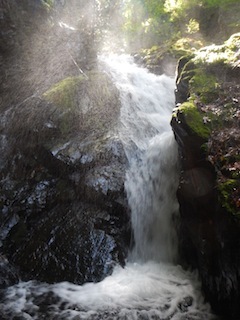 c0359615_20274032.jpg